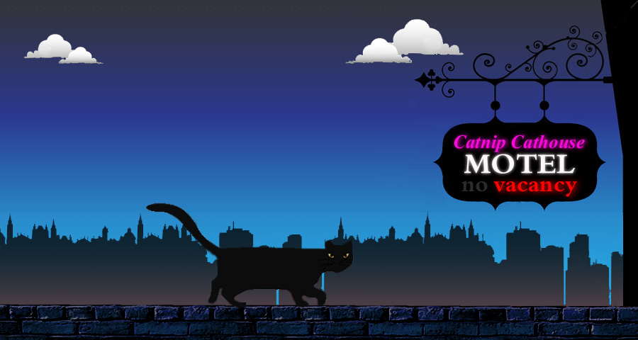 Cat Boarding, Cat Lodging, Cat Resort, Cat Sitter, Cat Sitting